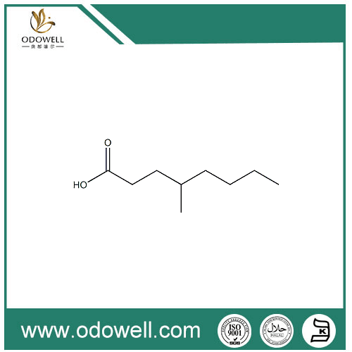 4-Methyloctanoic Acid