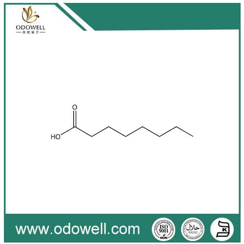 Octanoic Acid