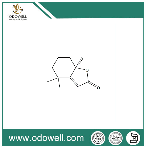 Dihydroactindiolide