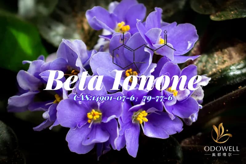Beta Ionone – ODOWELL's Classic Violet-Woody Ketone for Fine Fragrance Depth