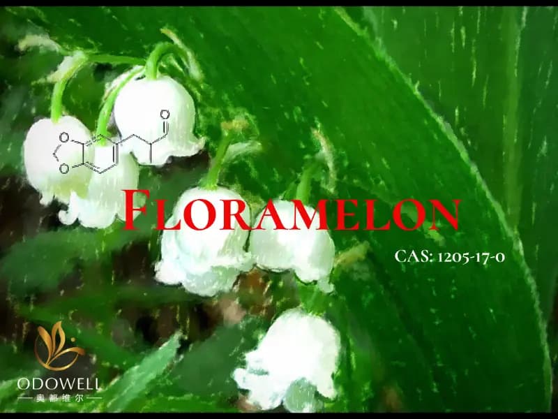 Floramelon – ODOWELL's Fresh Floral Aldehyde for Modern Lily of the Valley Fragrances