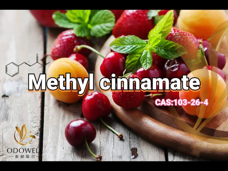 Methyl Cinnamate – ODOWELL's Sweet Fruity-Balsamic Ester for Oriental Fragrances